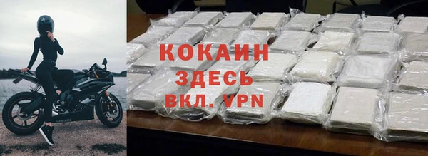 спайс Ельня