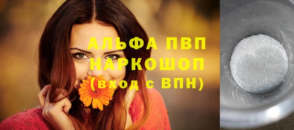 крисы Елабуга