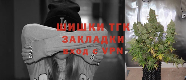 спайс Ельня