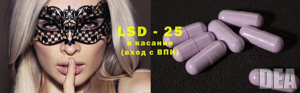 крисы Елабуга