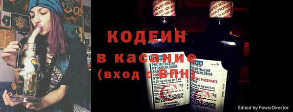 крисы Елабуга