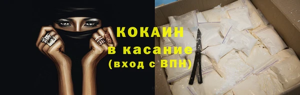 крисы Елабуга