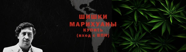 крисы Елабуга