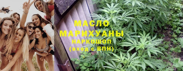 крисы Елабуга