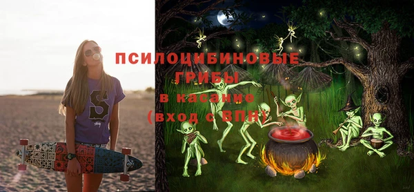 крисы Елабуга