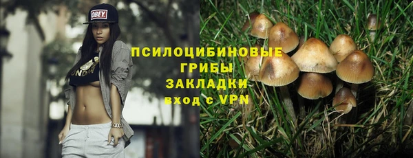 спайс Ельня