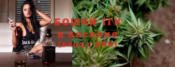 крисы Елабуга