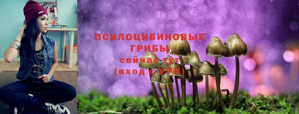 крисы Елабуга