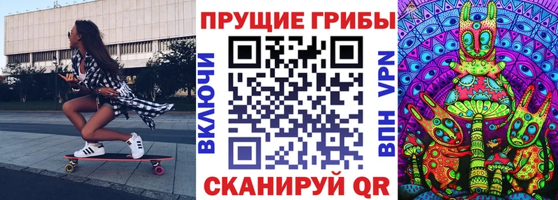 Купить  Можга  Псилоцибиновые грибы мицелий 